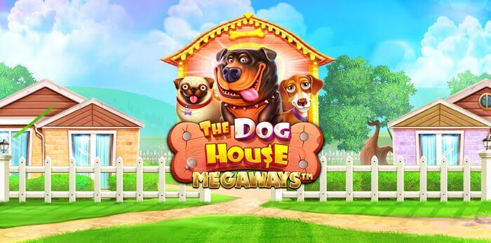 Dog House Slot Bewertung